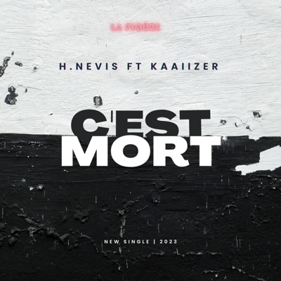 C'EST MORT (feat. H.nevis & Kaaiizer) - Single