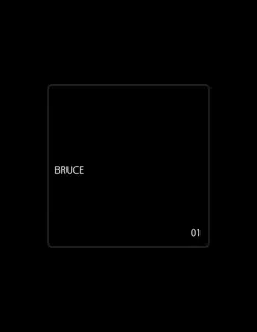 Listen to Bruce, watch music videos, read bio, see tour dates & more!