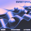 Sweet Spot - Single