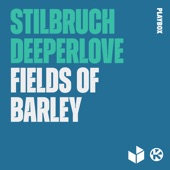 Fields of Barley (Club Edit) artwork