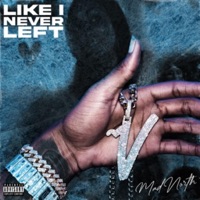 Like I Never Left - Mad North