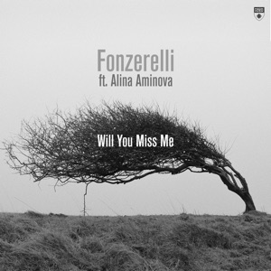 Will You Miss Me (feat. Alina Aminova) - Single