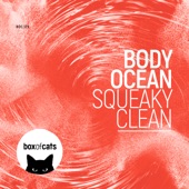 Squeaky Clean artwork