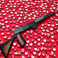 47 - Single - Story AIP