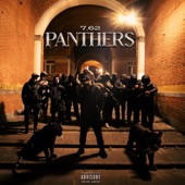 Panthers artwork