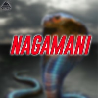 Nagamani (Original Motion Picture Soundtrack) - Single - Gangai Amaran