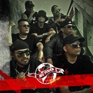 Se Pego (feat. Pj baby, Tayler, Leyva BEBE, Krig & Baby rovi) [Remix]