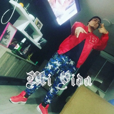 Mi Vida - Single
