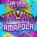 AMAPOLA