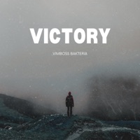 Victory - Single - VimBoss BAKTERIA