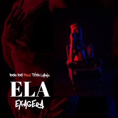 Ela Exagera (feat. Terio Likya) - Single
