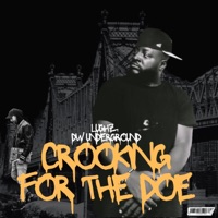 Crooking For the Doe - Single - LuGhz & DW Underground