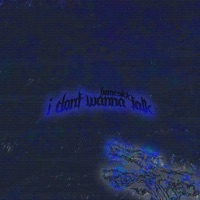 I Dont Wanna Talk - Single - homesick