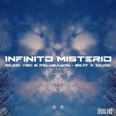 Infinito Misterio (feat. PelySayon) - Single