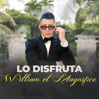 Lo Disfruta - Single