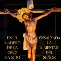 El Ha Muerto — Cucurucho Jm & Ramiro Vega Jiménez