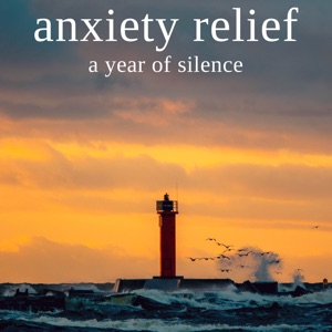 A Year of Silence