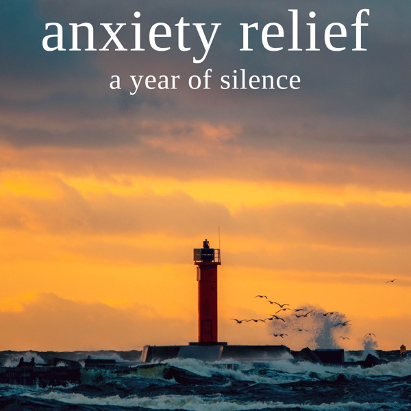 A Year of Silence