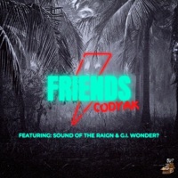 Friends (feat. G. I. Wonder? & Sound of the Raign) - Single - Codyak