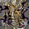 Bananas (dub mix) - Marco Anzalone lyrics