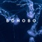 Bonobo - Käptn Nemo lyrics