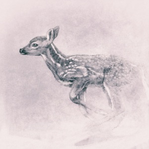 Winter Fairy - EP