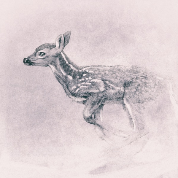 Winter Fairy - EP