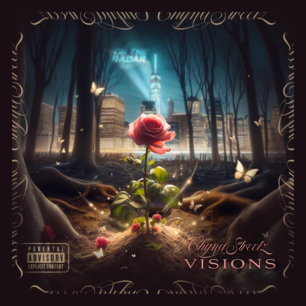 Visions - Single