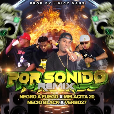 TODO POR SONIDO (feat. Negro a Fuego, Melacita 20 & El Necio Black) [Vicy Vans Remix] - Single