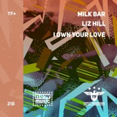 I Own Your Love (Extended Mix) artwork