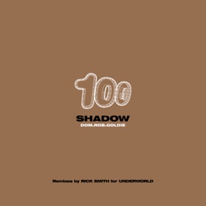 The Shadow (Process Mix) / the Shadow (Bing Here Mix) - Single