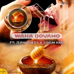 Waha Dovamo (feat. S. Drum Kidd & Sean Blizzy) - Single
