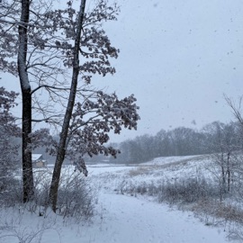 Everyear natureplayer