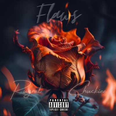 Flaws - Single