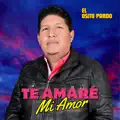 Te Amaré Mi Amor