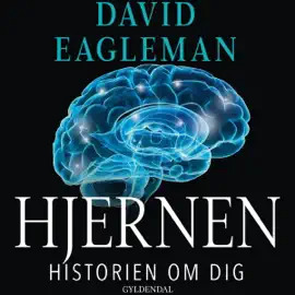 Hjernen: Historien om dig