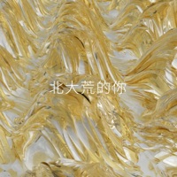 北大荒的你 - Single - 浪子成龙