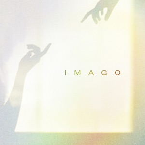 Imago