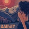 Bailey - Crasti lyrics