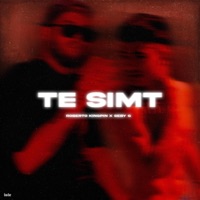 Te simt (feat. Seby G) - Single - Roberto Kingpin