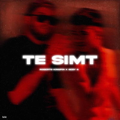 Te simt (feat. Seby G) - Single