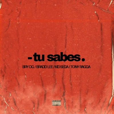 Tu Sabes (feat. Bradd Lee, Kid Sega & Tony Ragga) - Single
