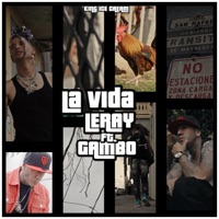 La Vida (feat. Gambo Valentin) - Single - Leray