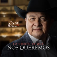 Lo Cierto Es Que Nos Queremos - Single - Walter Silva