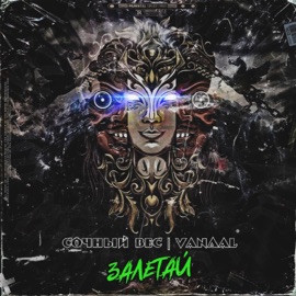 Залетай Сочный Вес & VANDAL