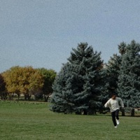 Strays - Single - Scaai