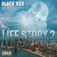 Life Story 2 - Black Rob