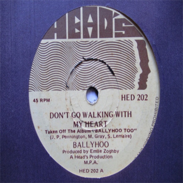 Don't Go Walking With My Heart + Take Me Down To Cape Town - Single
