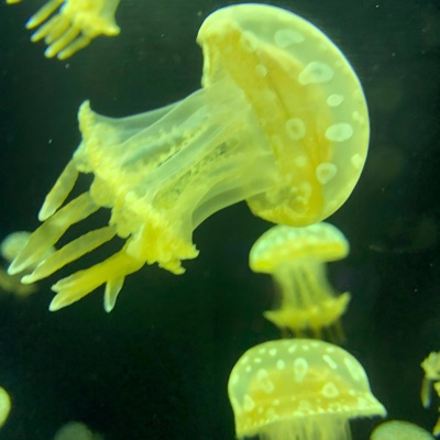 Something In the Way - Single