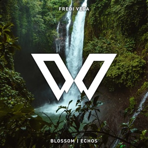 Blossom / Echos - Single